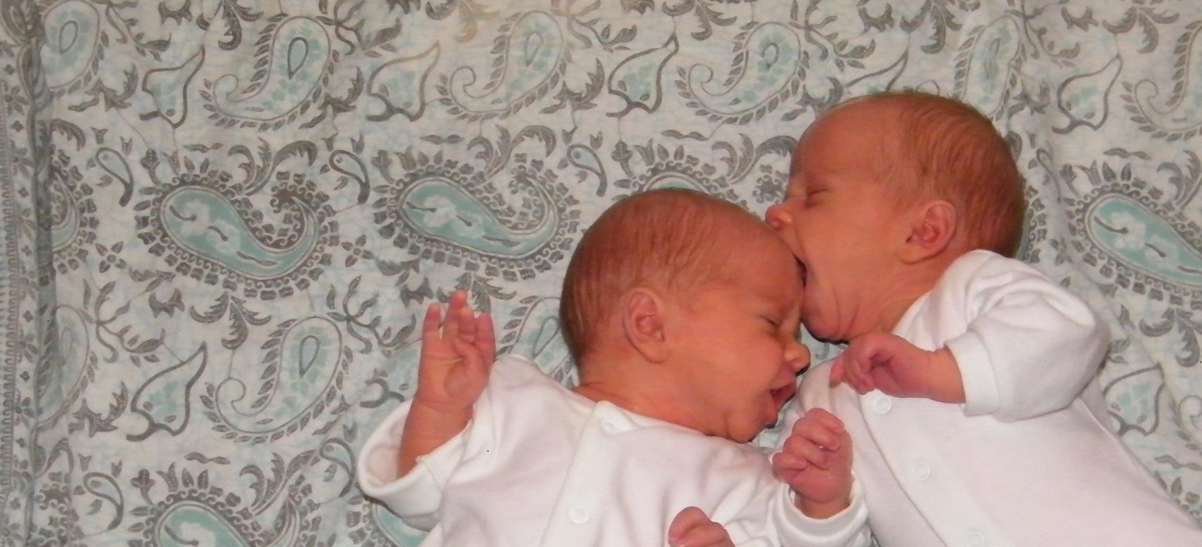 Two babies laying. One seem to be trying to bite another one